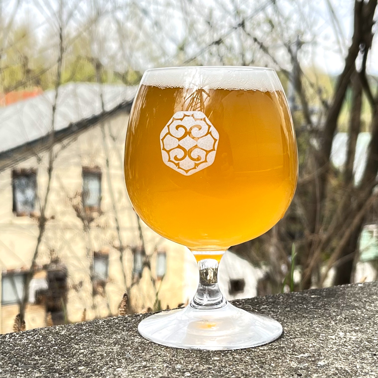 ぶんたん　チカザワ　ビール柄2枚 夏といえば！乾いた喉に、とりあえず「ビール」！ | 横浜元町